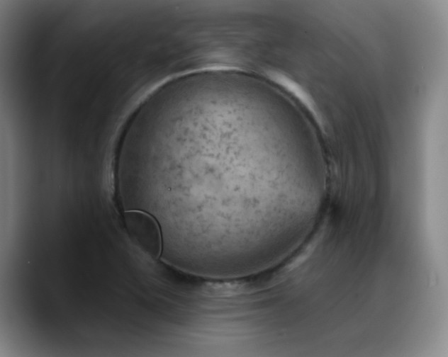 X0000090731415200707201359