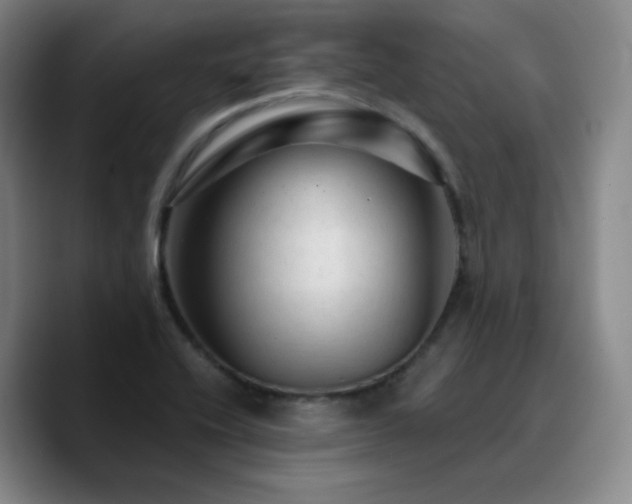 X0000090731416200707201359