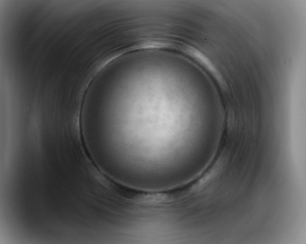 X0000090731417200707201359