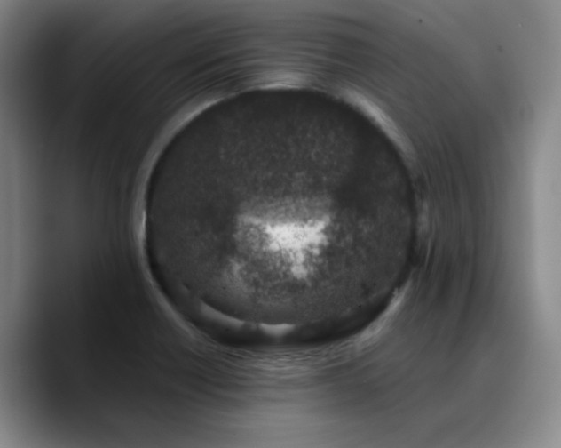 X0000090731418200707201359