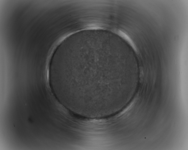 X0000090731419200707201359