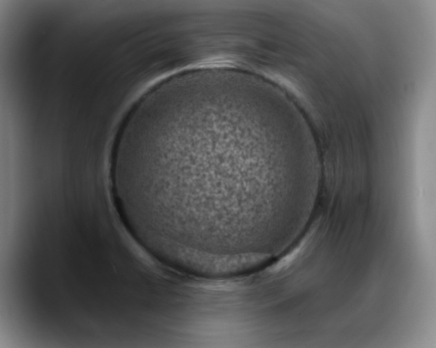 X0000090731422200707201359