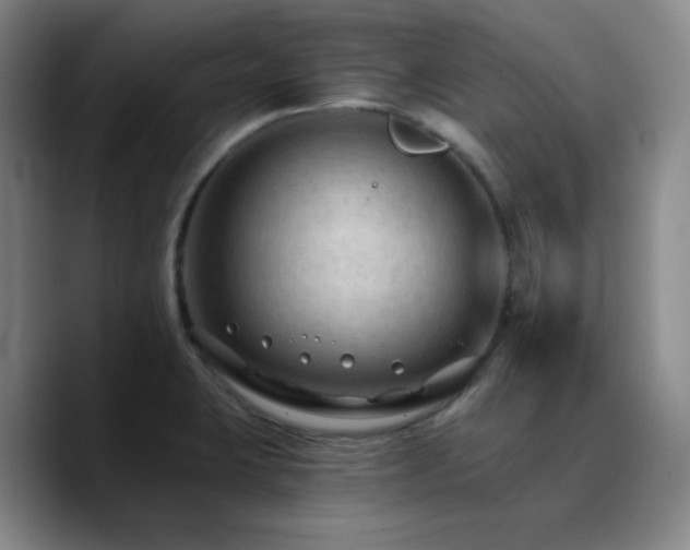 X0000090731423200707201359