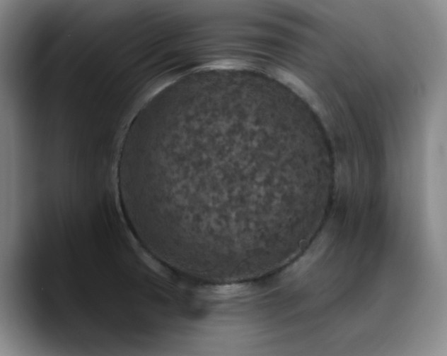 X0000090731425200707201400