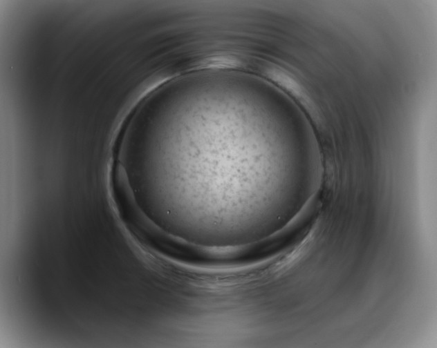 X0000090731426200707201400