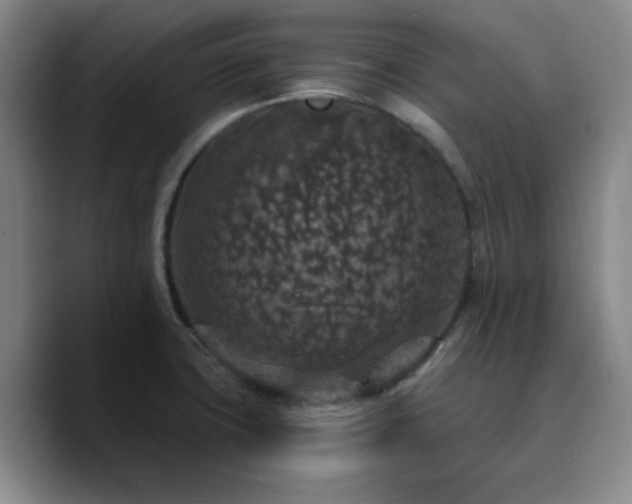 X0000090731427200707201400