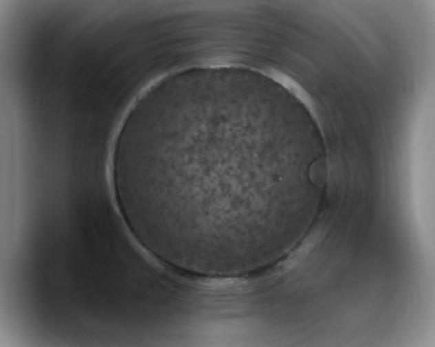 X0000090731429200707201400