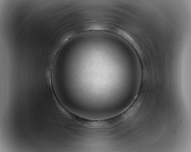 X0000090731433200707201400