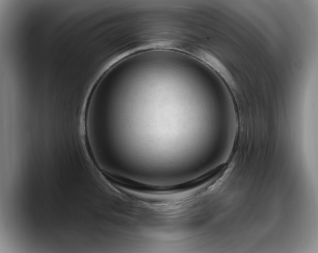 X0000090731436200707201400