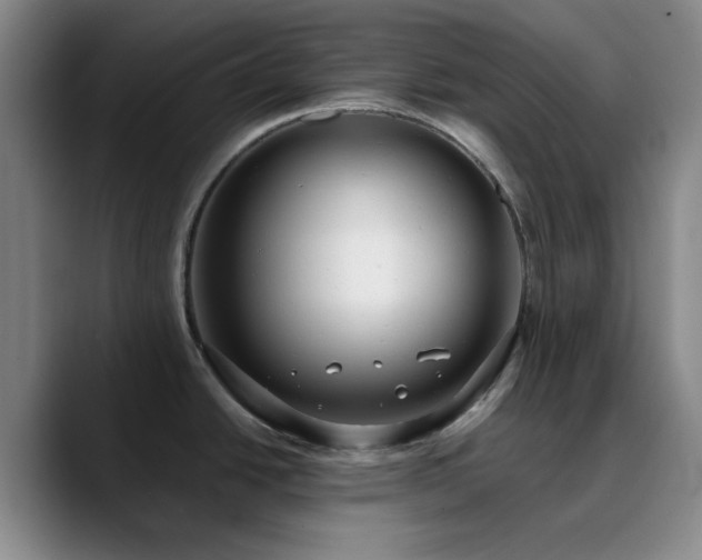 X0000090731438200707201400