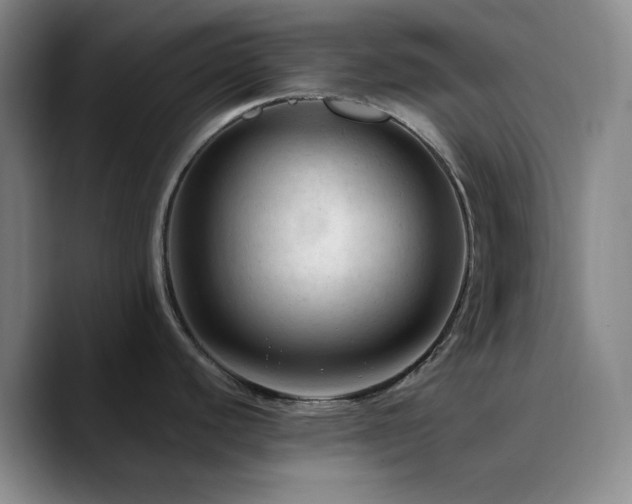 X0000090731440200707201400