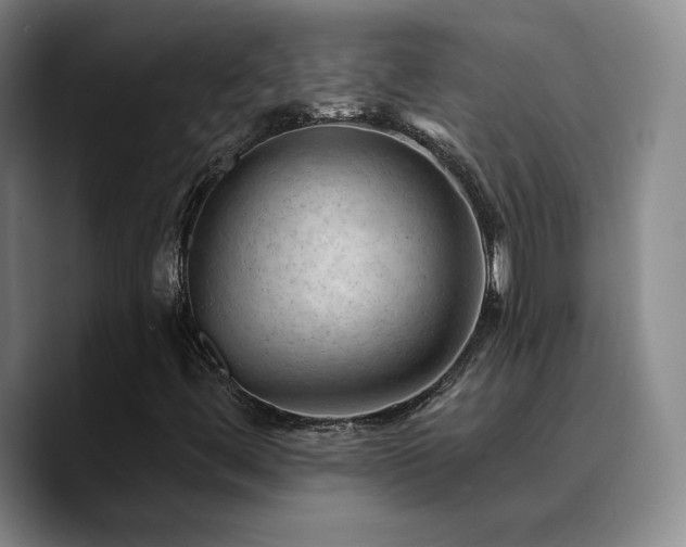 X0000090731444200707201359