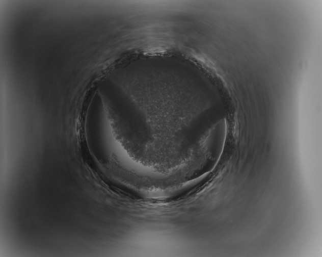 X0000090731445200707201359