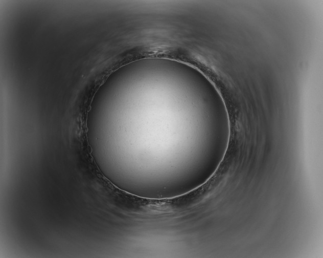 X0000090731447200707201359