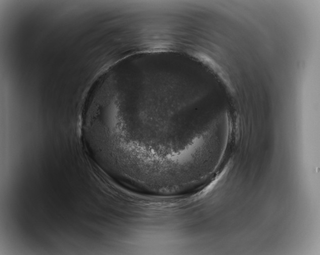 X0000090731449200707201359