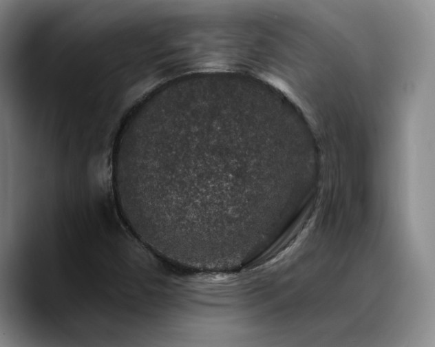 X0000090731450200707201359