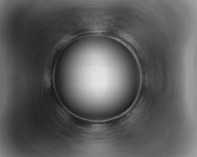 X0000090731451200707201359