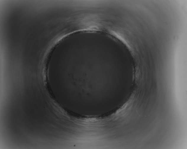 X0000090731455200707201359