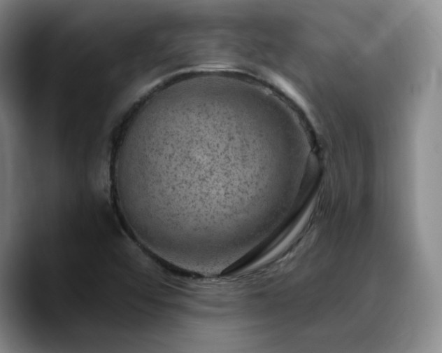 X0000090731456200707201359