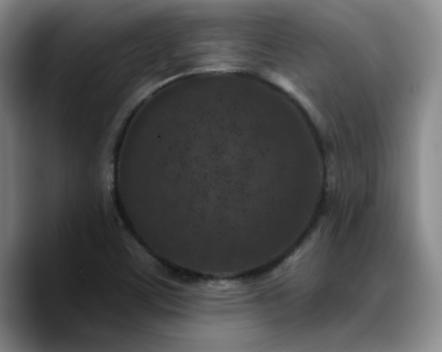 X0000090731459200707201359