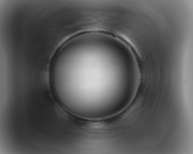 X0000090731460200707201359