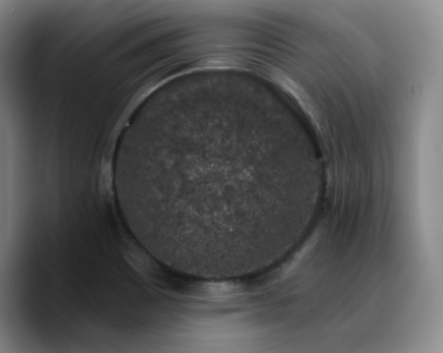 X0000090731465200707201359