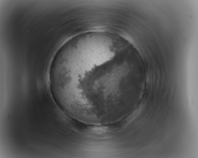 X0000090731466200707201359