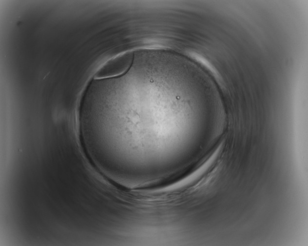 X0000090731467200707201359