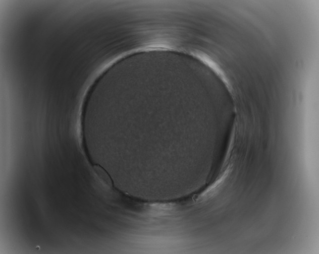 X0000090731469200707201359