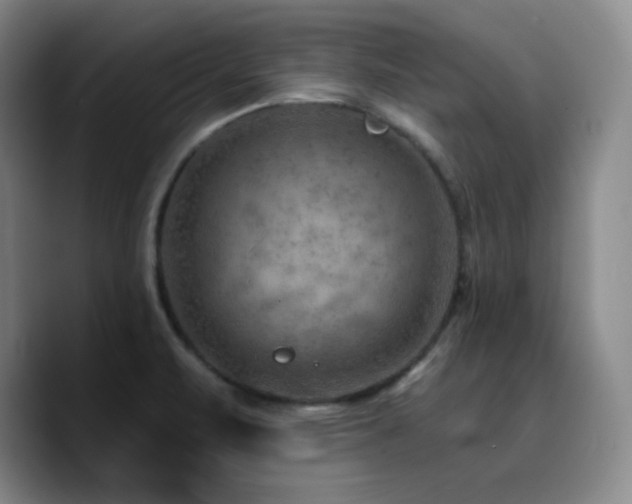 X0000090731471200707201359