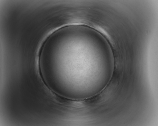 X0000090731472200707201359