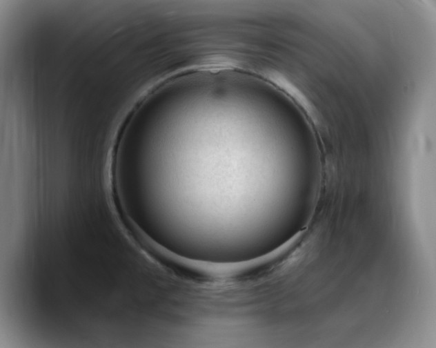 X0000090731477200707201359