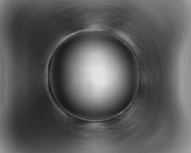 X0000090731479200707201359