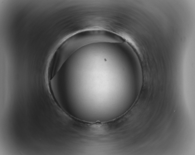 X0000090731480200707201359