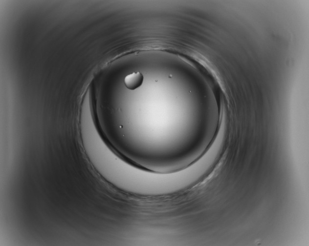 X0000090731481200707201359