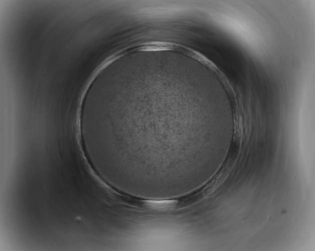X0000090731487200707201358
