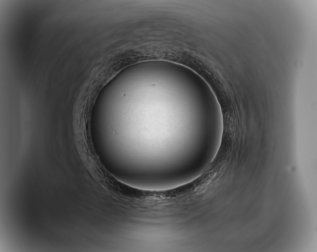 X0000090731489200707201358