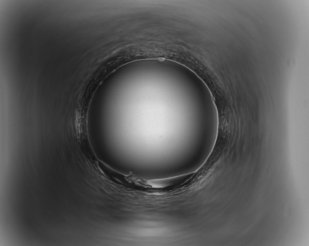 X0000090731490200707201358