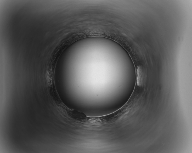 X0000090731491200707201358