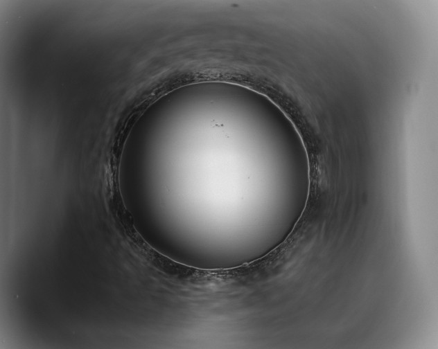 X0000090731493200707201358