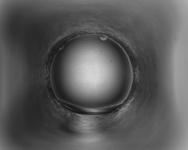 X0000090731494200707201358