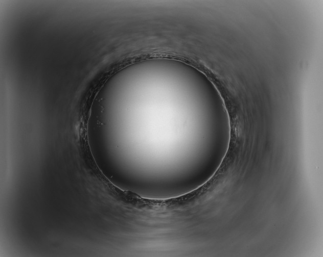 X0000090731495200707201358