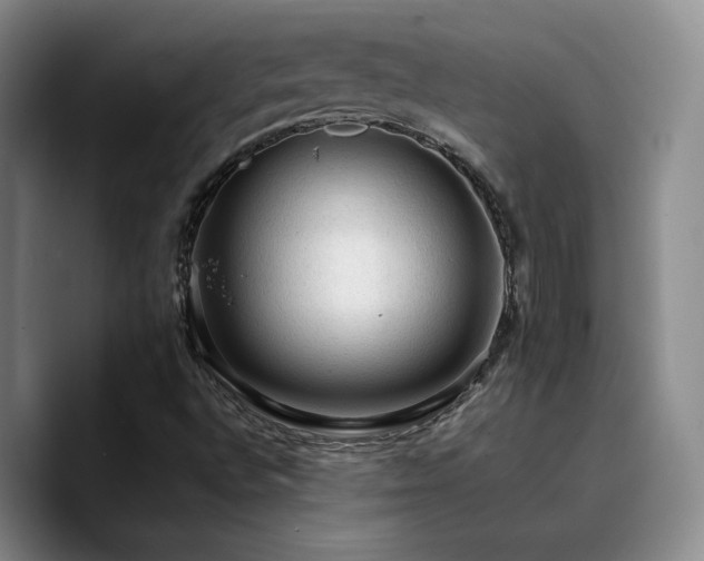 X0000090731496200707201358