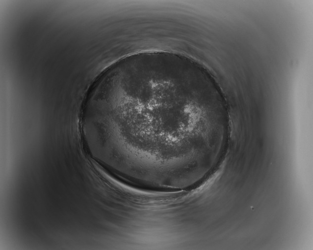 X0000090731497200707201358