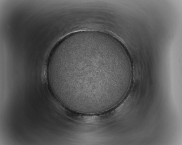 X0000090731498200707201358