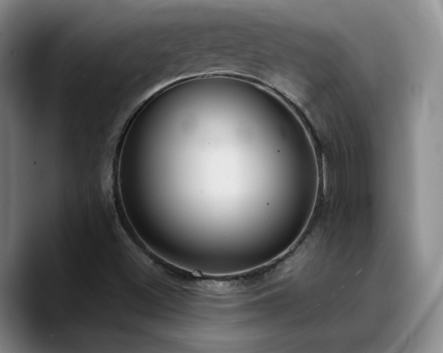 X0000090731500200707201358