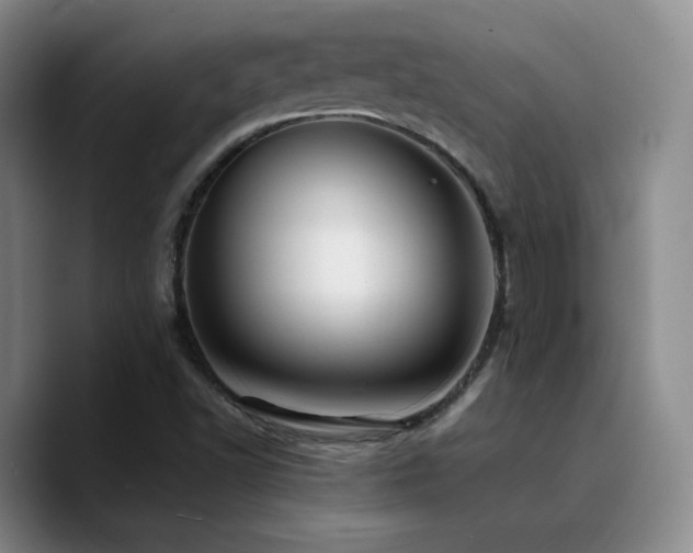 X0000090731502200707201358