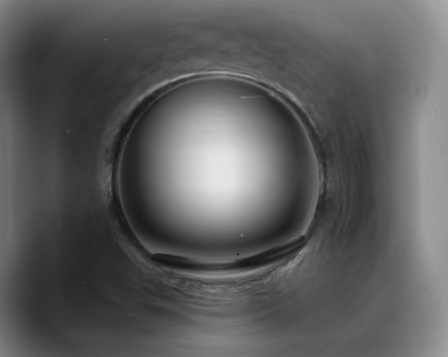 X0000090731503200707201358