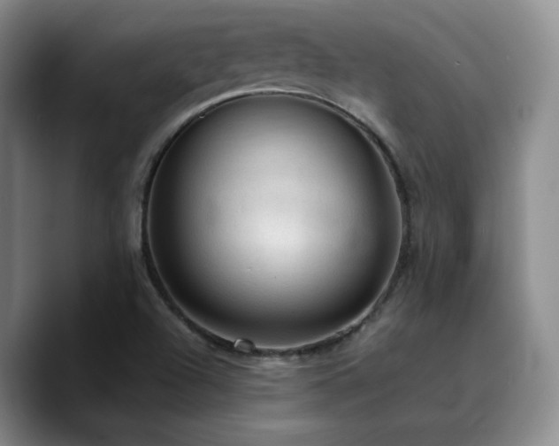X0000090731504200707201358