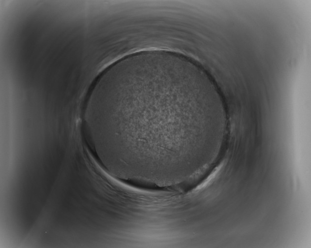 X0000090731505200707201358